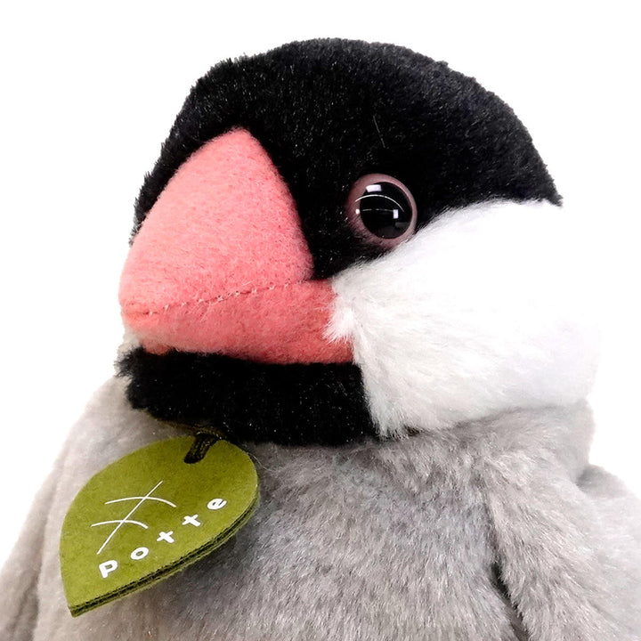 ぬいぐるみpotte文鳥