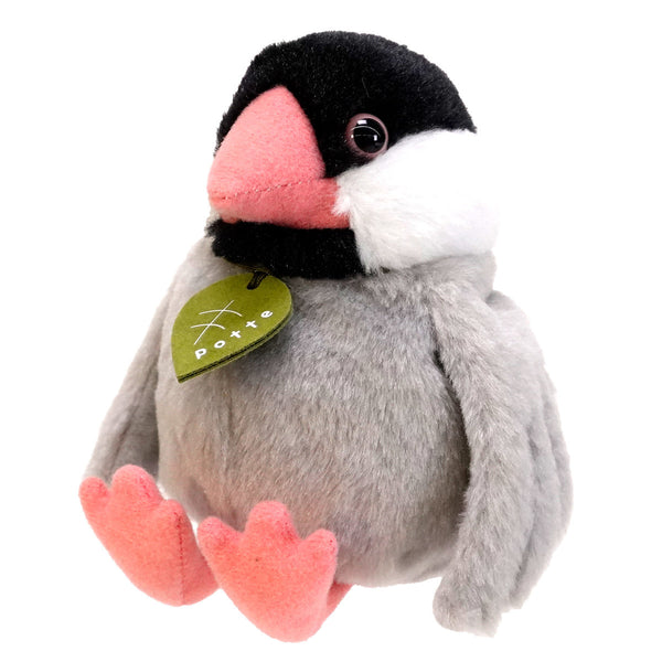 ぬいぐるみpotte文鳥