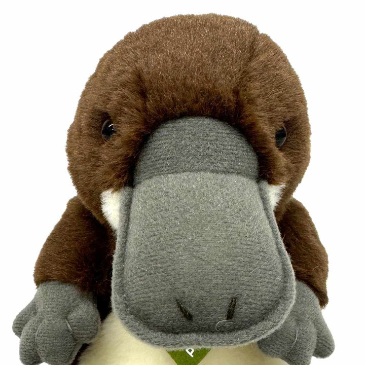 ぬいぐるみpotteカモノハシ