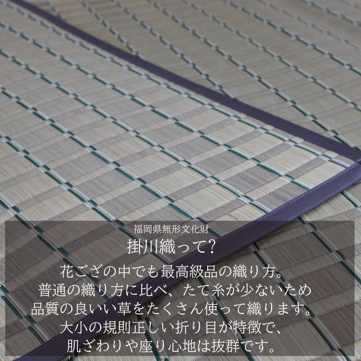 い草ラグ室町191×250cm掛川織花ござ
