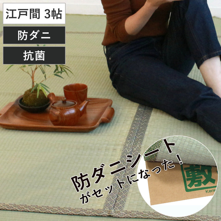 い草上敷きセット江戸間3帖白山+防ダニシート健康敷紙白山双目