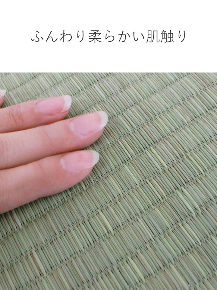 い草上敷きセット江戸間3帖白山+防ダニシート健康敷紙白山双目