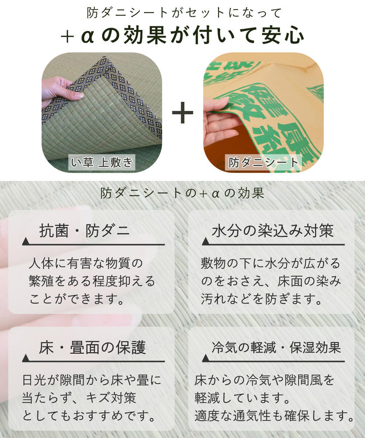い草上敷きセット江戸間6帖白山+防ダニシート健康敷紙白山双目
