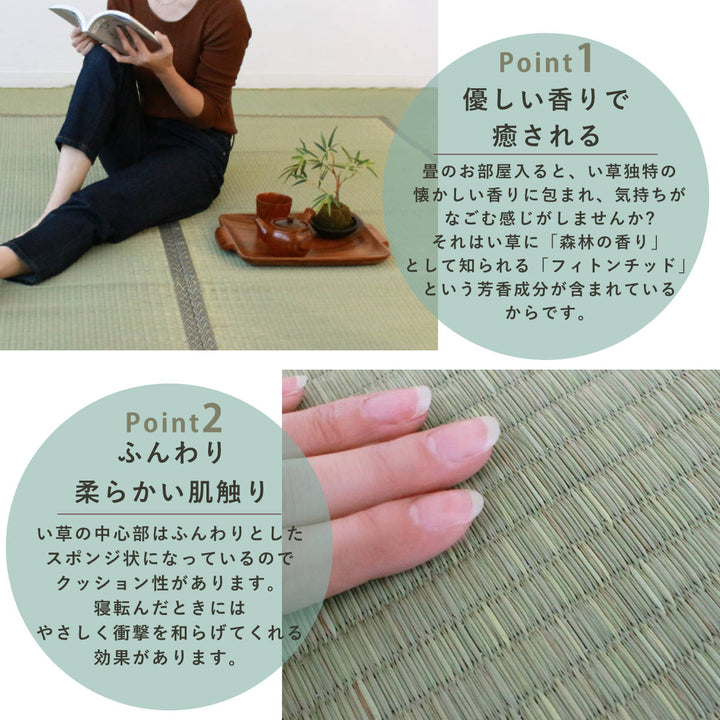 い草上敷きセット江戸間6帖白山+防ダニシート健康敷紙白山双目