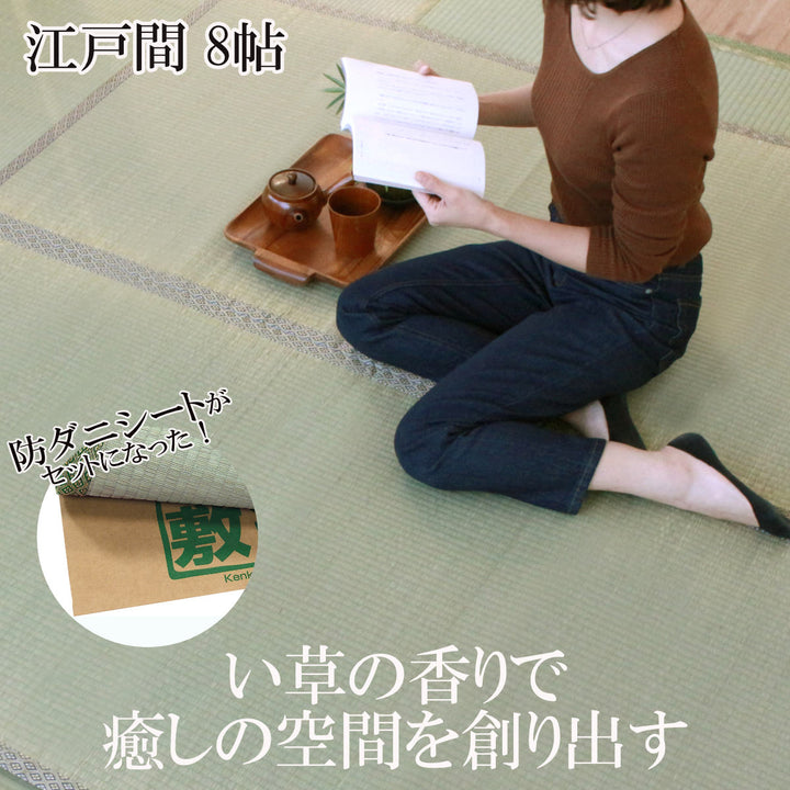 い草上敷きセット江戸間8帖白山+防ダニシート健康敷紙白山双目