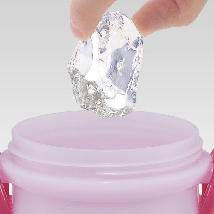 水筒480ml抗菌直飲プラボトルギャビーのドールハウス