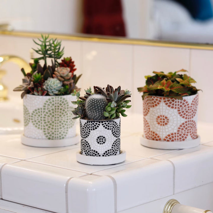 植木鉢フリーゼポットL受け皿付き