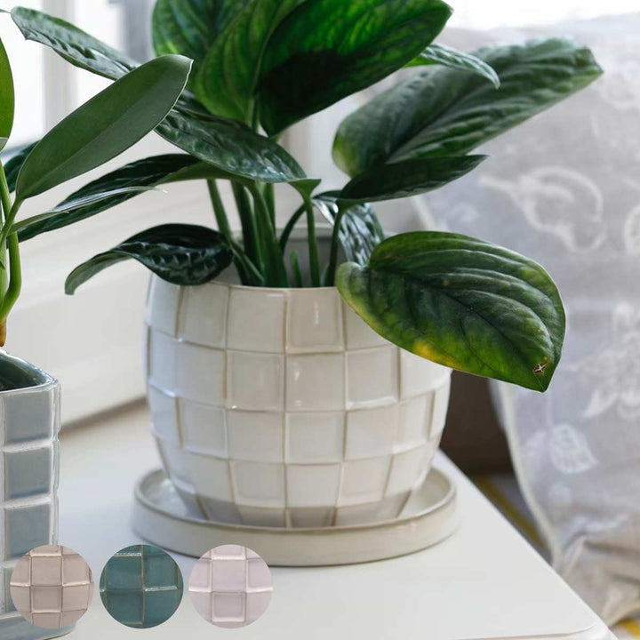 植木鉢テグラポットB受け皿付き