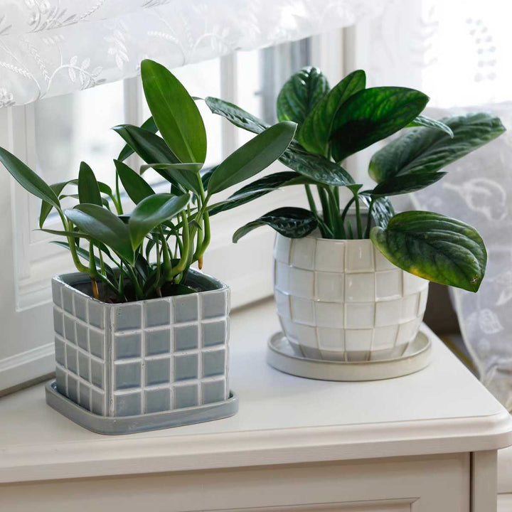 植木鉢テグラポットB受け皿付き