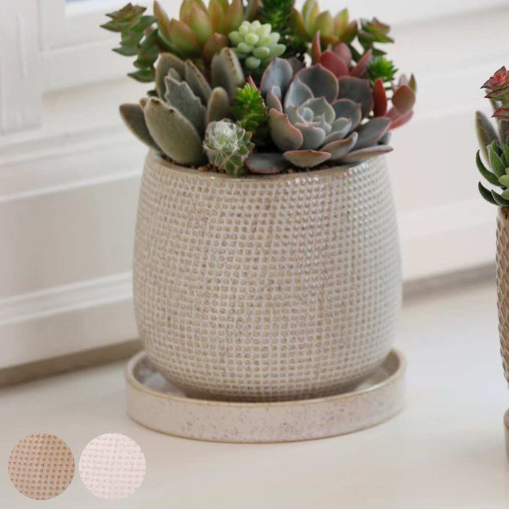 植木鉢ニードポットBタイプLサイズ受け皿付き