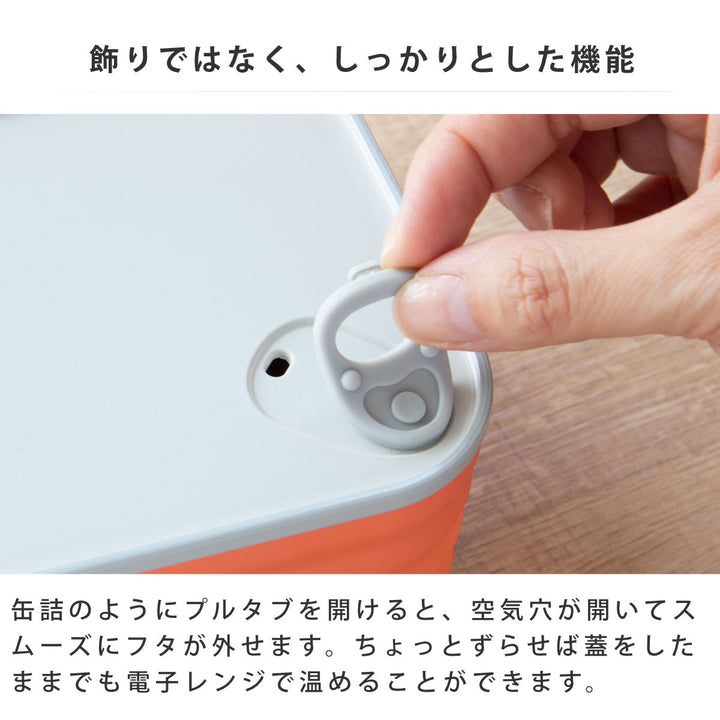 弁当箱600mlイートカンランチボックスTAKENAKA