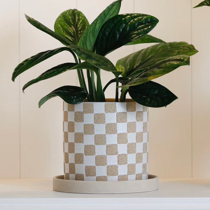 植木鉢ソンブラポットS受け皿付き