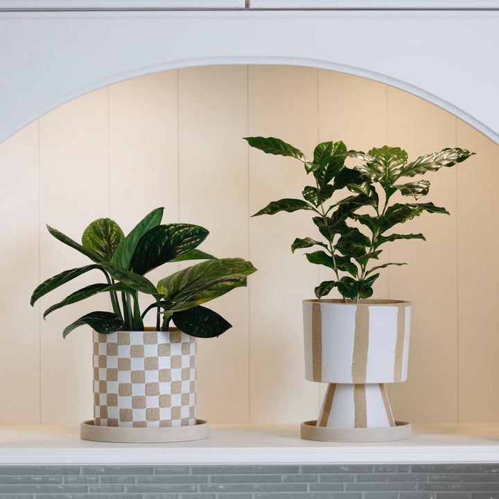 植木鉢ソンブラポットS受け皿付き