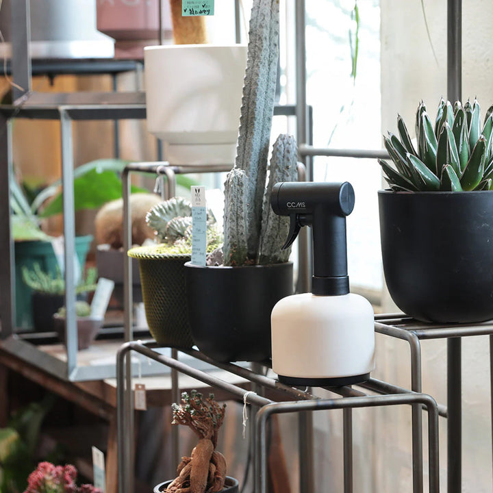 霧吹きシーシーエムシー