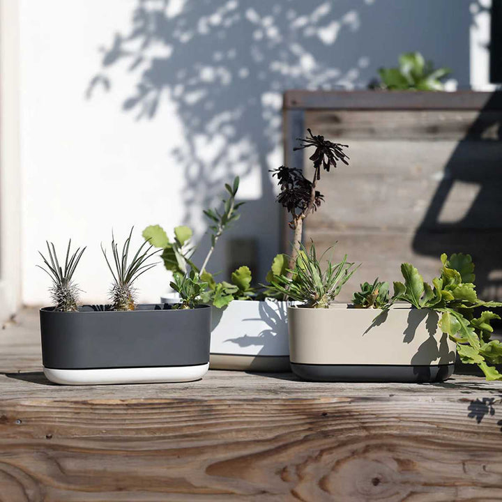 プランターエスジーアイプランターオーバル受け皿付き