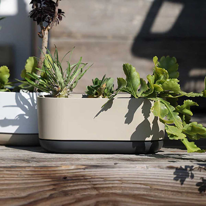 プランターエスジーアイプランターオーバル受け皿付き