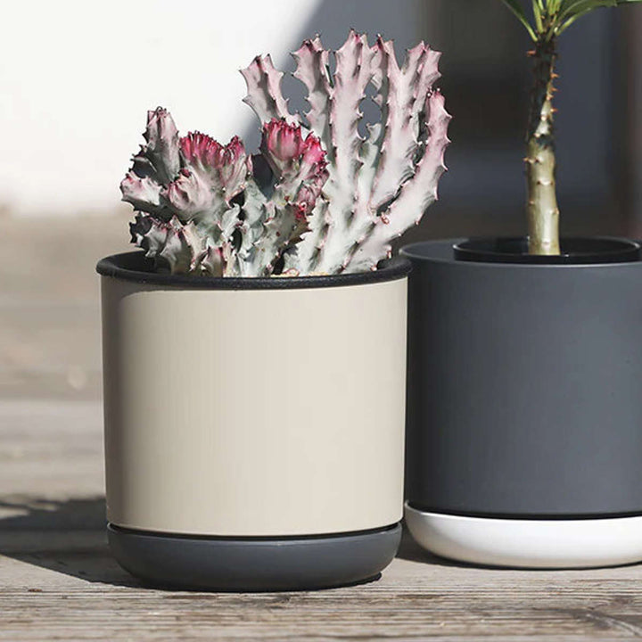 植木鉢エスジーアイポットS5号受け皿付き