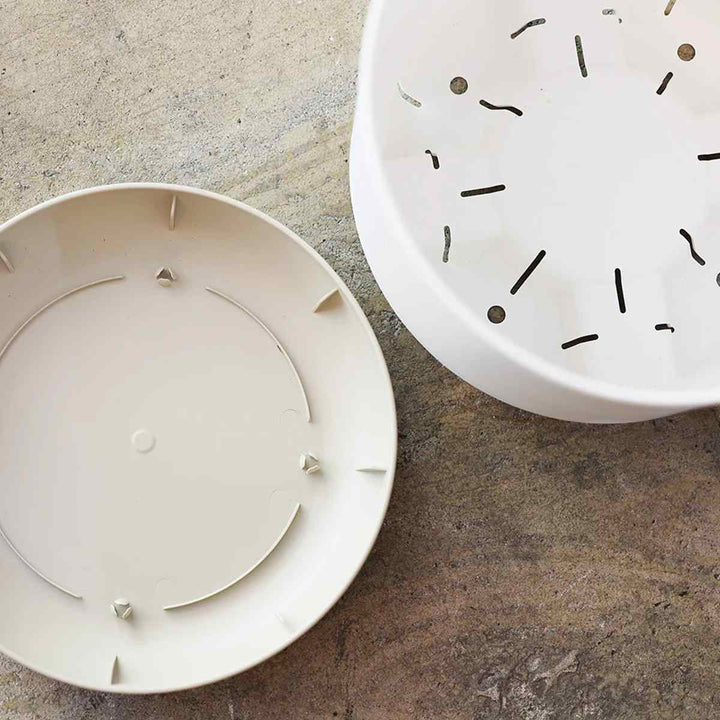 植木鉢エスジーアイポットS5号受け皿付き