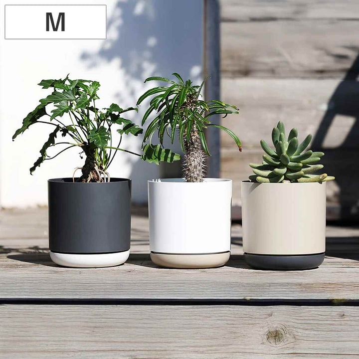 植木鉢エスジーアイポットM6号受け皿付き