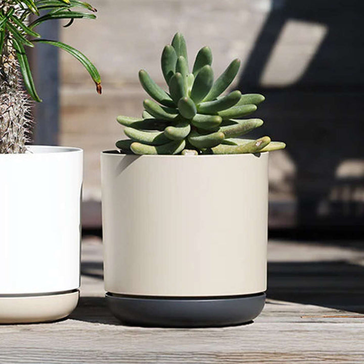 植木鉢エスジーアイポットM6号受け皿付き