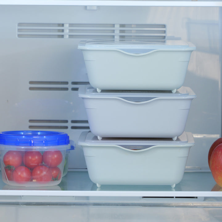 イージーバットザル3点セット深型蓋付き電子レンジ対応日本製