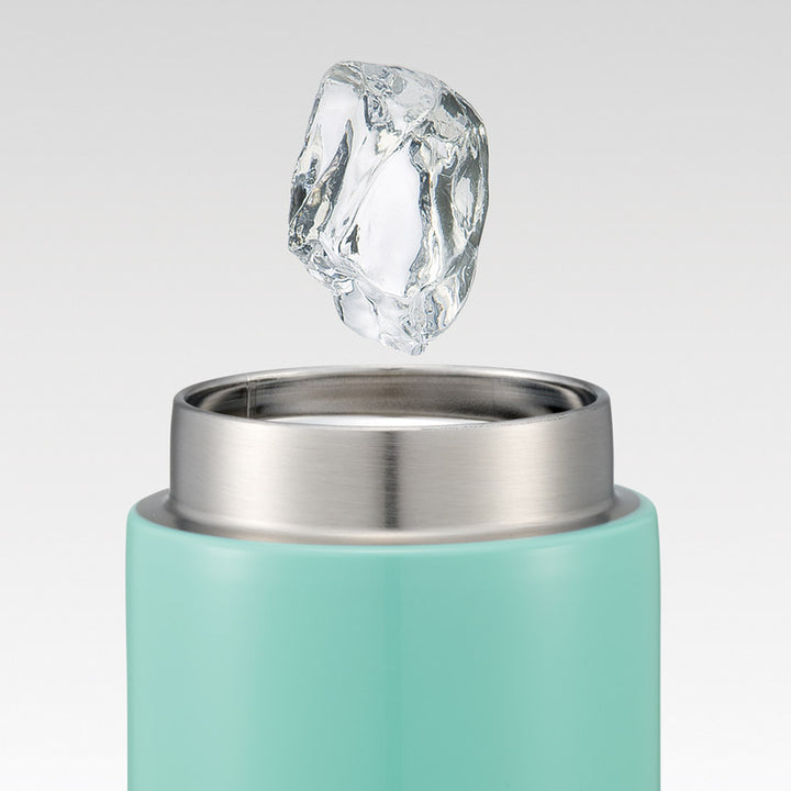 水筒450mlステンレスマグボトルCareBears