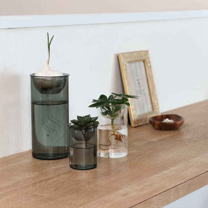 花瓶MINIBULBVASE水栽培ガラスベース7cm水耕栽培