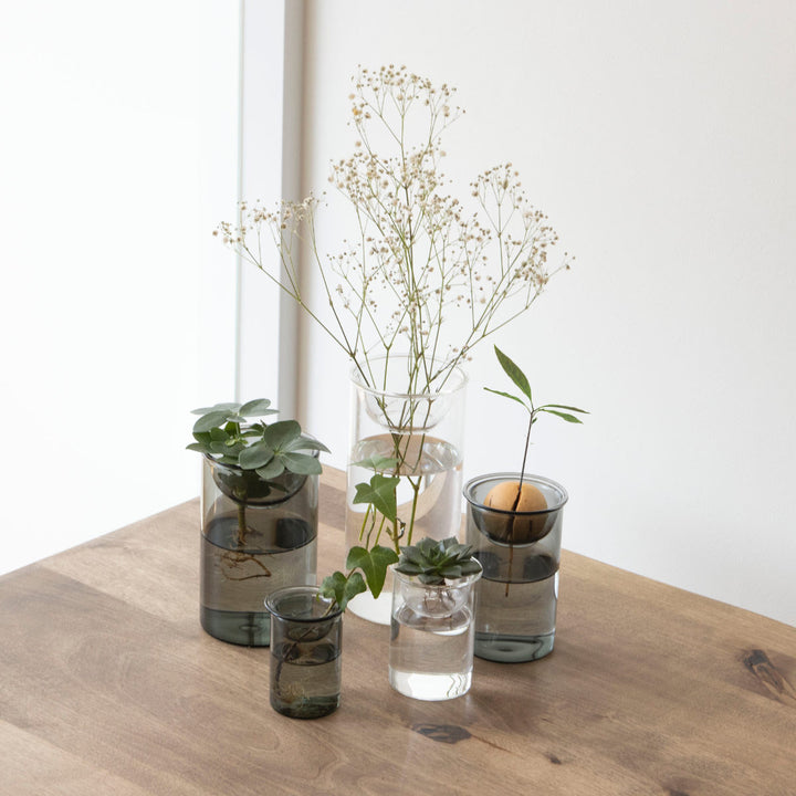 花瓶MINIBULBVASE水栽培ガラスベース7cm水耕栽培