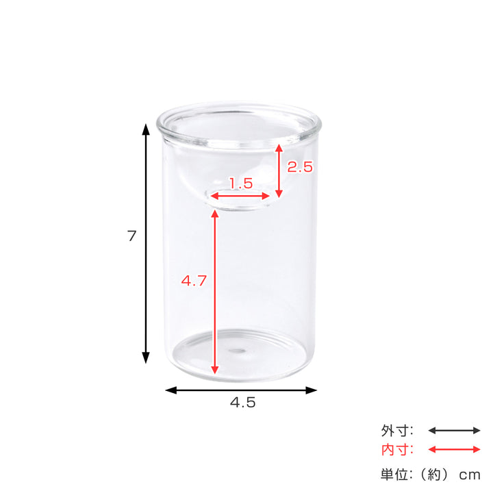 花瓶MINIBULBVASE水栽培ガラスベース7cm水耕栽培