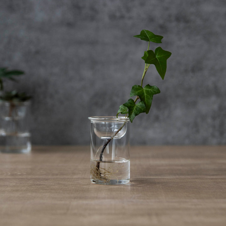 花瓶MINIBULBVASE水栽培ガラスベース7cm水耕栽培