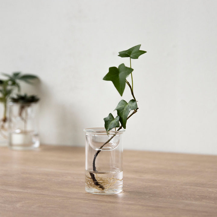 花瓶MINIBULBVASE水栽培ガラスベース7cm水耕栽培