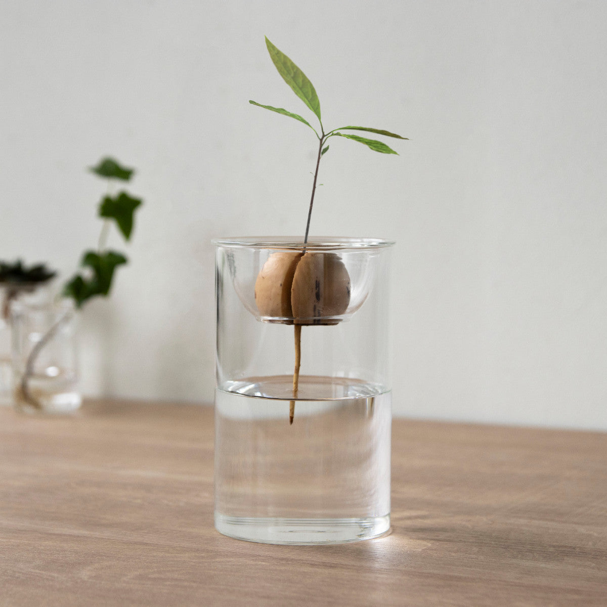 花瓶 MINI BULB VASE 水栽培ガラスベース 11cm 水耕栽培 – ハウジー