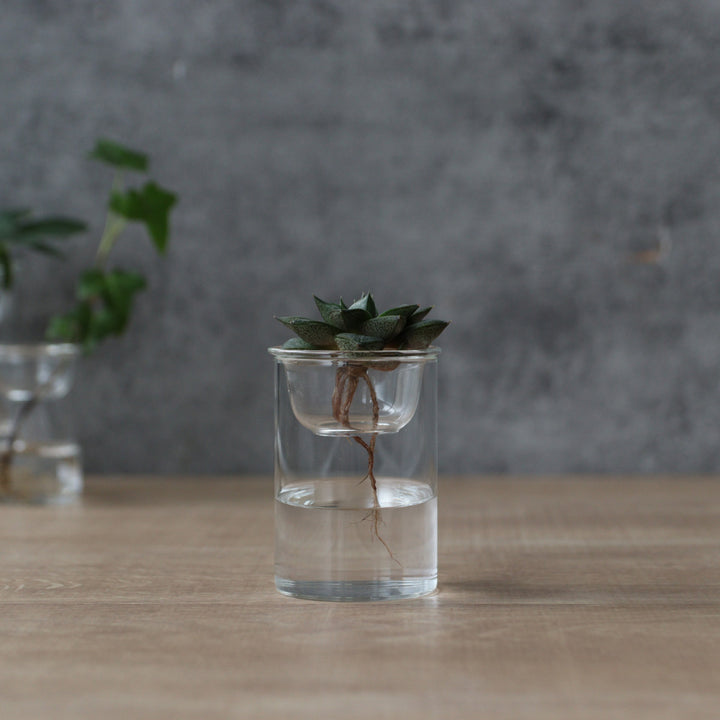 花瓶MINIBULBVASE水栽培ガラスベース8.5cm水耕栽培