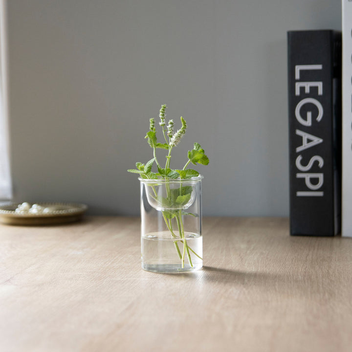 花瓶MINIBULBVASE水栽培ガラスベース8.5cm水耕栽培