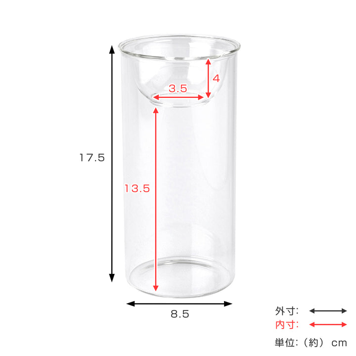 花瓶BULBVASE水栽培ガラスベースロング水耕栽培