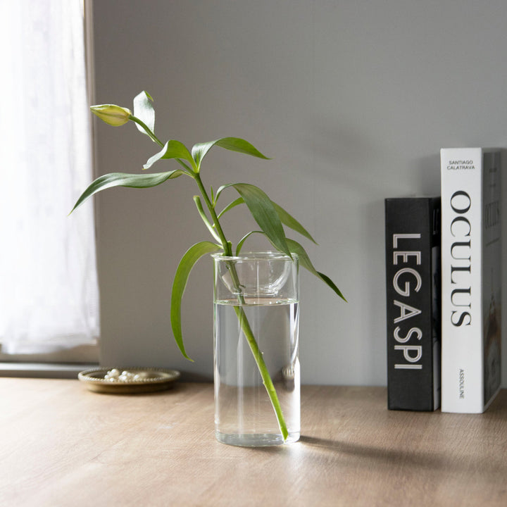 花瓶BULBVASE水栽培ガラスベースロング水耕栽培