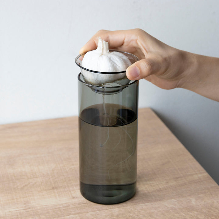 花瓶BULBVASE水栽培ガラスベースロング水耕栽培