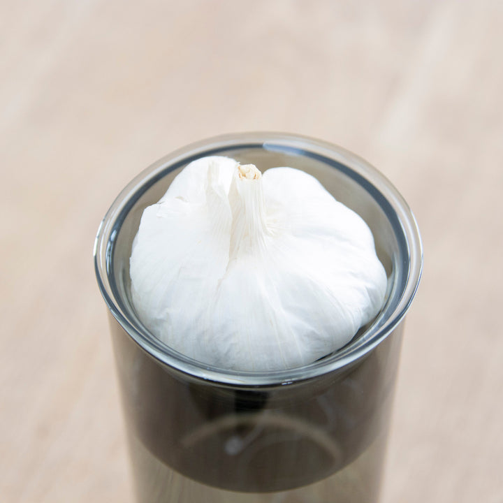 花瓶BULBVASE水栽培ガラスベースロング水耕栽培