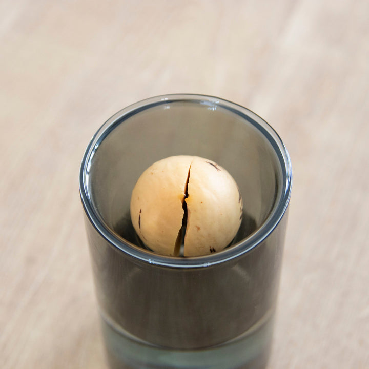 花瓶BULBVASE水栽培ガラスベースショート水耕栽培