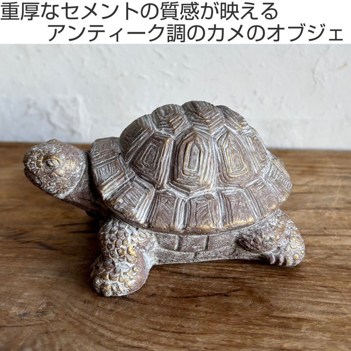 オブジェデコールセメントオブジェカメB