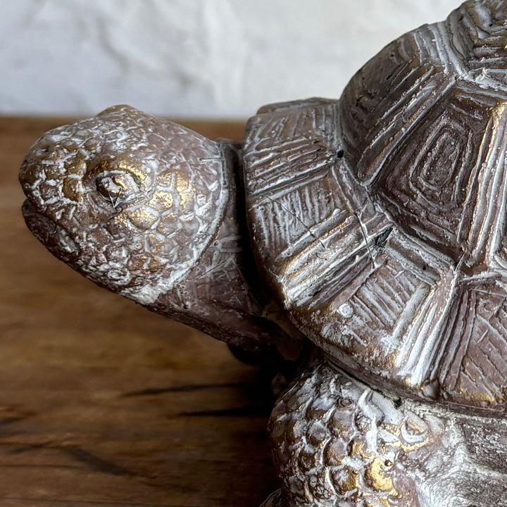 オブジェデコールセメントオブジェカメB