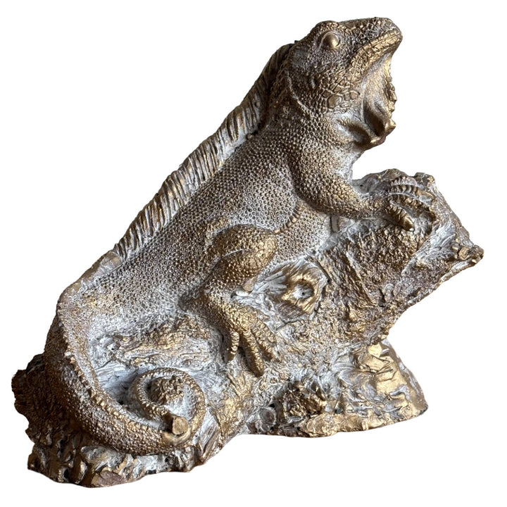 オブジェデコールセメントオブジェトカゲS