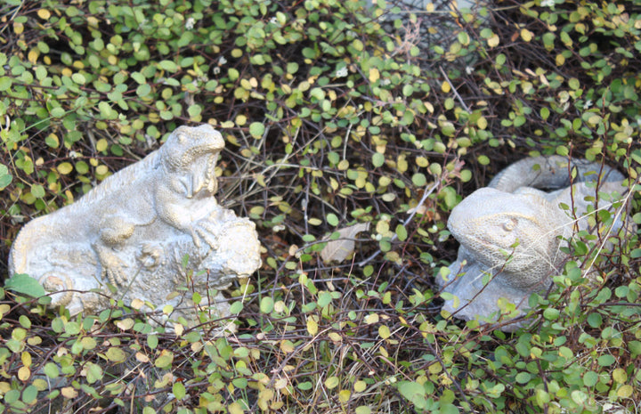 オブジェデコールセメントオブジェトカゲL