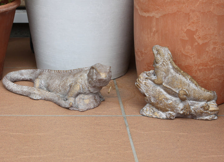 オブジェデコールセメントオブジェトカゲL