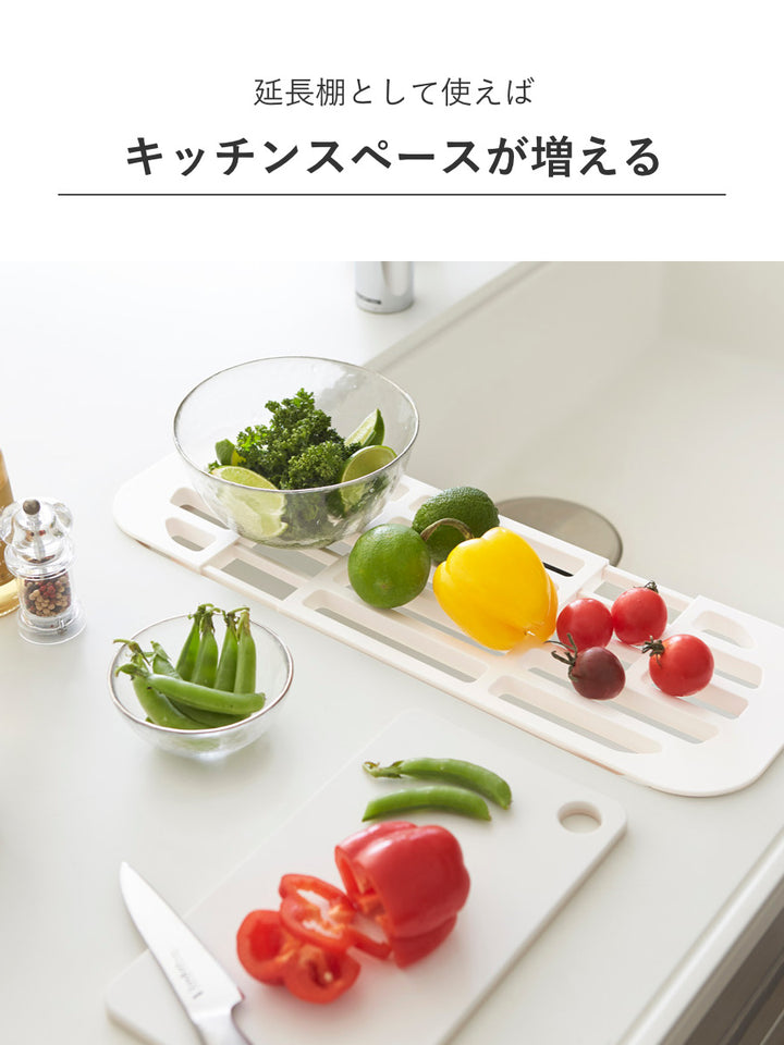 山崎実業AQUA伸縮水切りラックアクア