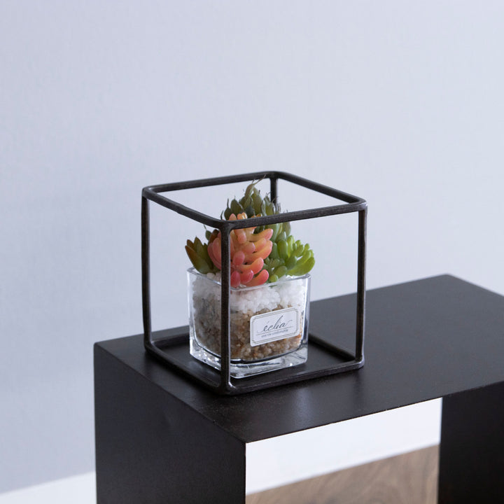 フレームジョセフアイアンディスプレイワイヤーフレームキューブSサイズ