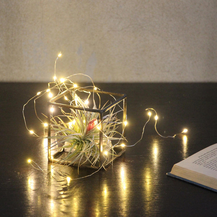 フレームジョセフアイアンディスプレイワイヤーフレームキューブSサイズ