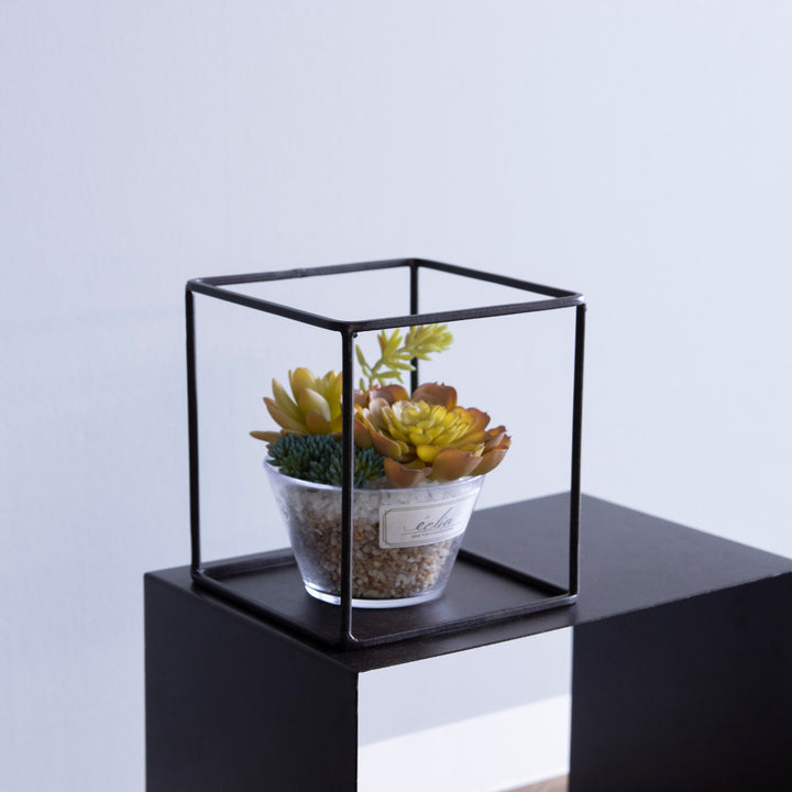 フレームジョセフアイアンディスプレイワイヤーフレームキューブLサイズ