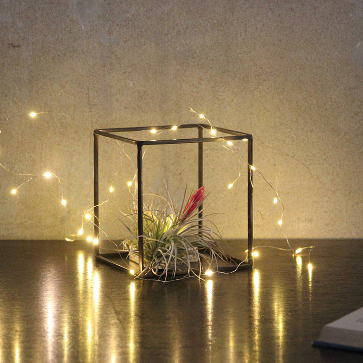 フレームジョセフアイアンディスプレイワイヤーフレームキューブLサイズ