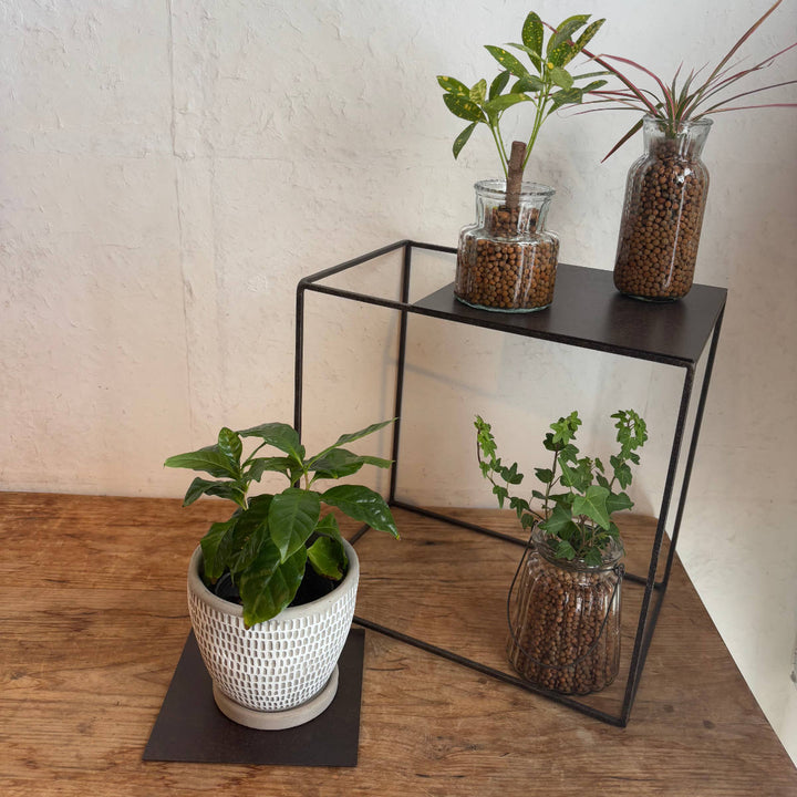 フレームジョセフアイアンフレームスクエア30×20×30cm